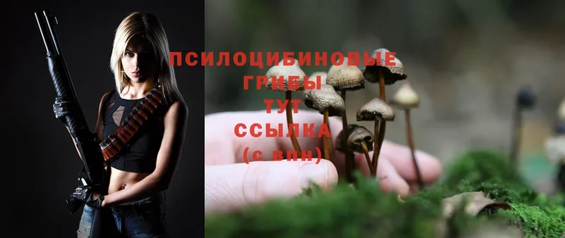 Галлюциногенные грибы MAGIC MUSHROOMS  это формула  Константиновск 